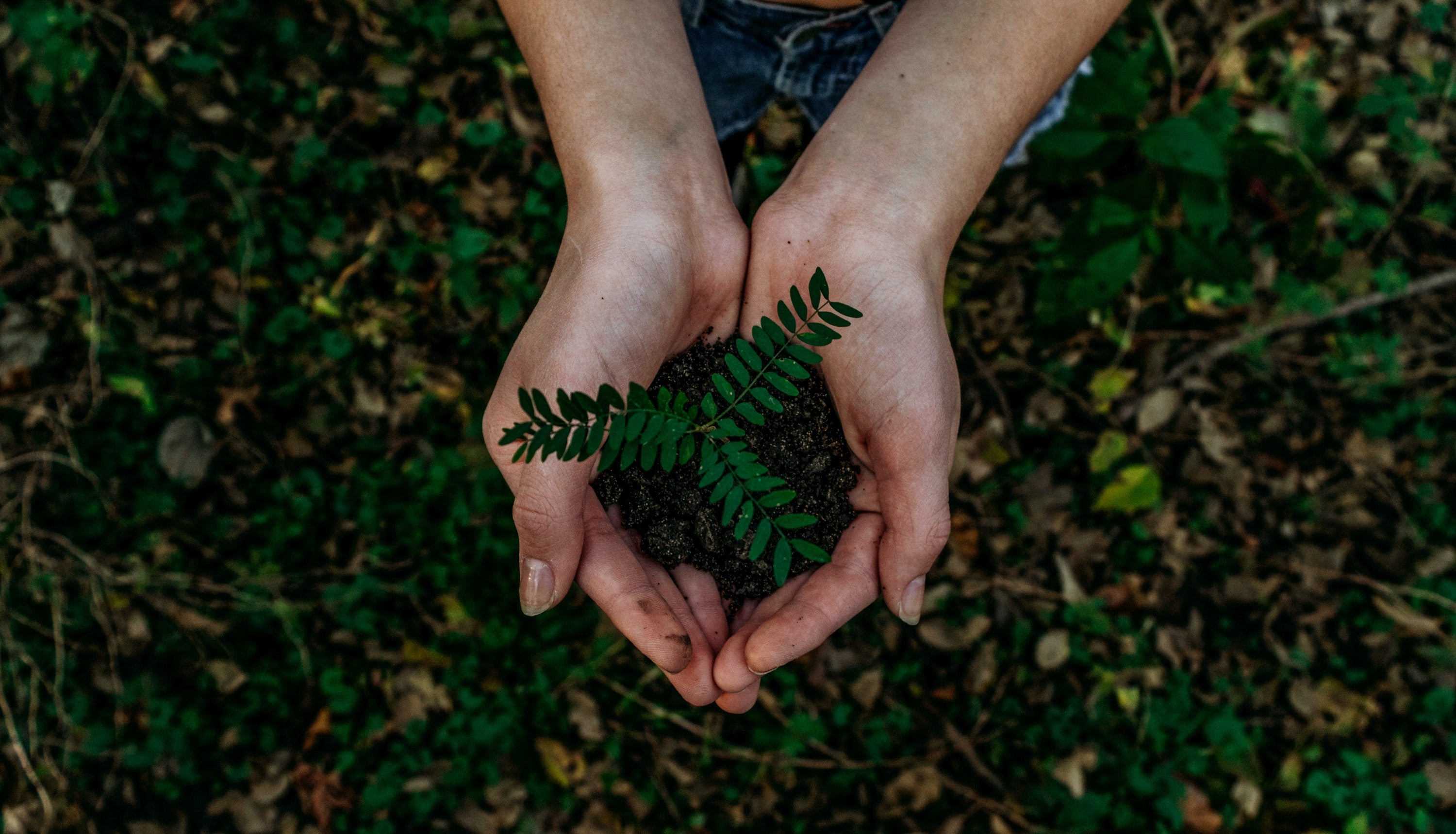 Environmental Benefits of Metal Printing